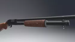 Winchester 12 Gauge Shotgun & Shells