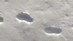 Winter track - #zephyrwinterchallenge