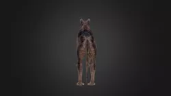 Wolf