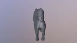 Wolfgang