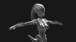 Woman - In H. R. Giger Style