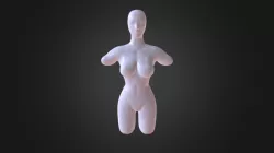 Woman Torso
