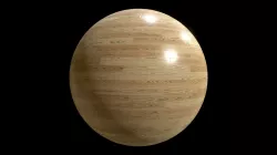 Wood Flooring Ash Natural 001