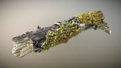 Wood stick 01