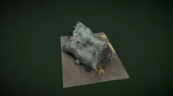 Wood Trunk