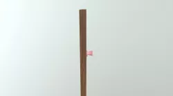 Wooden Door
