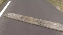 Woodplanks 3