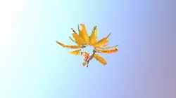 Woolly Sunflower Jun15-2017 FamilyB VM Sep9-2017