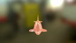 WU ORCA TRY1