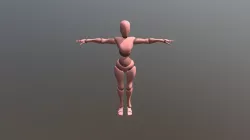 Xbot