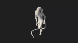 xenomorph