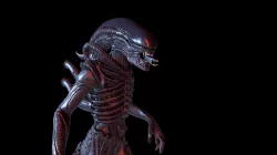 Xenomorph