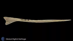 XFP-050 Bird Bone Pin, Sanak Island, Alaska