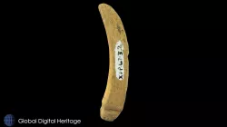 XFP-067 Bone tool, Sanak Island, Alaska