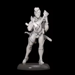 Bard 28mm for dnd
