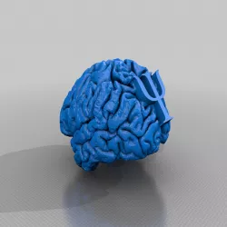Brain for Mian