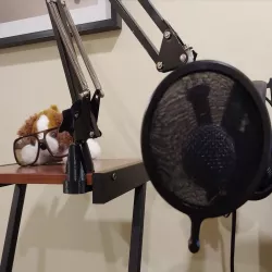 Desk Lamp Arm Clamp (Ikea TERTIAL-style mount)