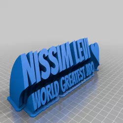 NISSIM12