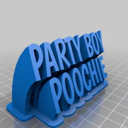 PARTY BOY