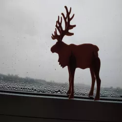 Reindeer christmas card kit easier pop-out