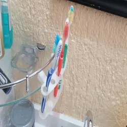 Toothbrush Holder