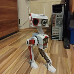 BD-1 Fallen Order