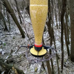 Bird feeders 40mm bottle