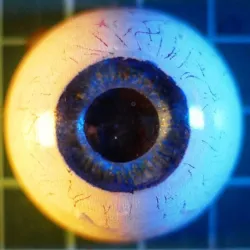Eyeballs (Clear SLA)