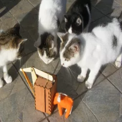 Mousetrap lasercut
