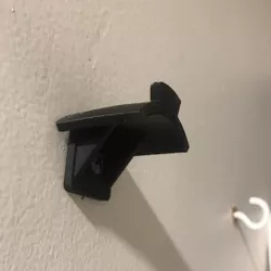 Parrot Disco Wall Hook