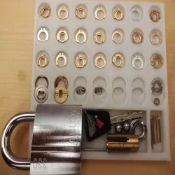 Pinning tray for disc detainer and pin tumbler locks