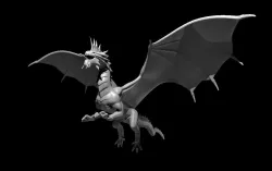 Silver Dragon Flying 