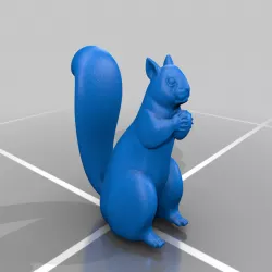 Squirrel