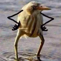 Сomics meme A bird with hands (Так Блэт)