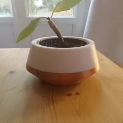 Cache pot - flower pot cover