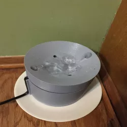 Cat Fountain