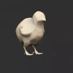 Crunchy Chick