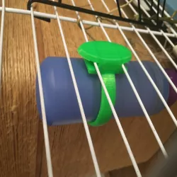 Drinker holder for guinea pigs