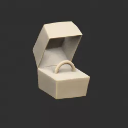 Fable Original Ring Box Static