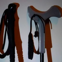 Hiking Stick/Pole T-Handle