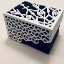 Snowflake Box