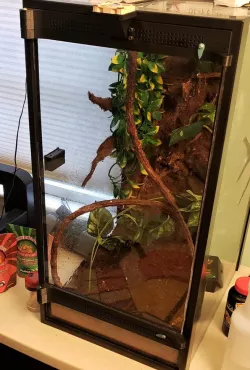 Aquarium to Terrarium Conversion Kit -- 20 Gal High