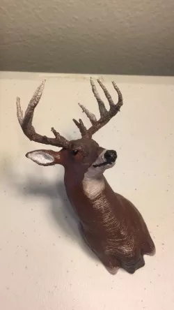 Deer