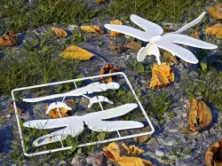 Dragonfly Gift Card Toy