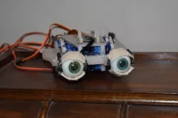 Sylvie 2021 - Animatronic Eye Mechanism + Rbpi Camera!