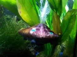 UFO Aquarium Bubbler 