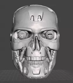 Working T800 Skull