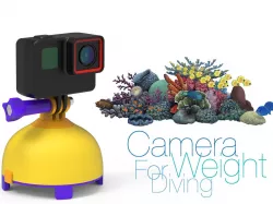 Camera Weight for Diving