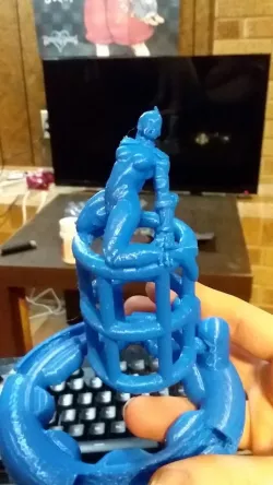 Cammy Custom Chastity