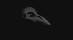 Crow Skull
